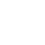 New Level Golf Co.