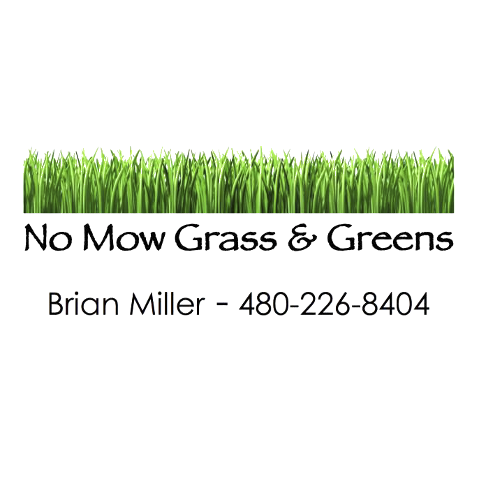 No Mow Grass & Greens